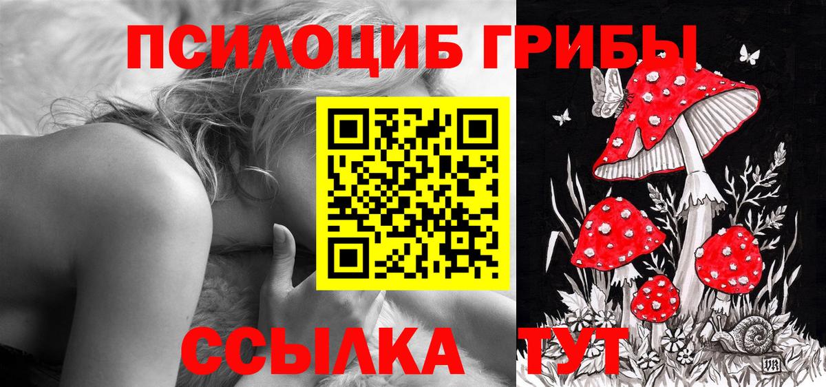 Кемерово  Псилоцибиновые грибы мицелий  Вход с VPN 