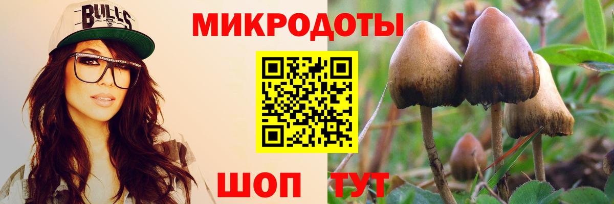 Галлюциногенные грибы ЛСД Кемерово